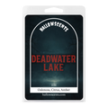 Hallowscents Deadwater Lake wax melt package on a white background
Horror Wax Bars. Horror Candles. Spooky Wax Bars. Horror Candles. Horror Bath and Body. Spooky bath and body. 